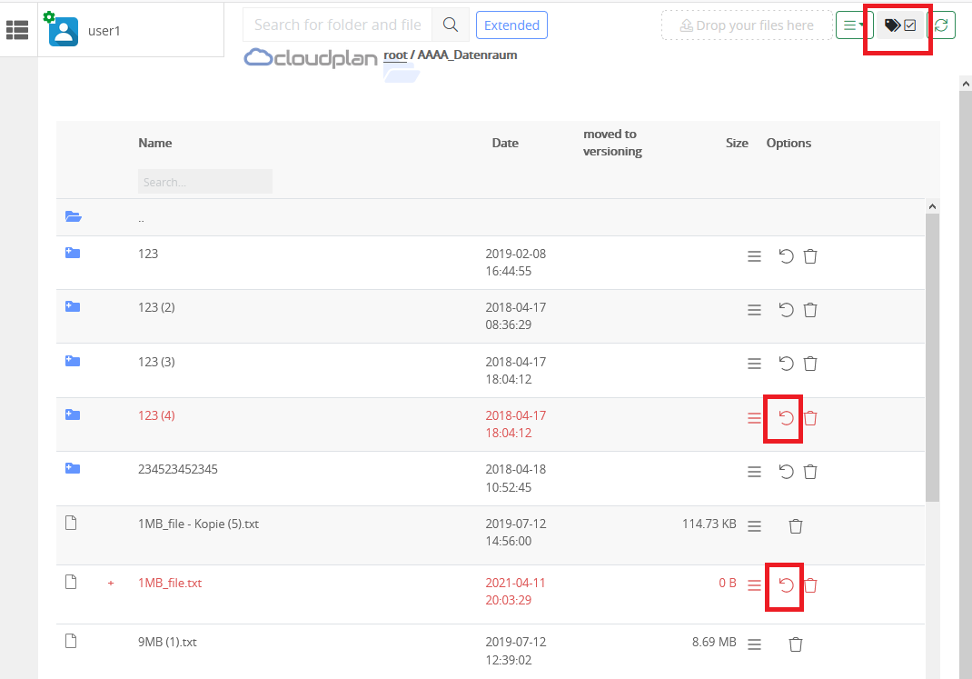 versioning-restore-rollback-cloudplan-help